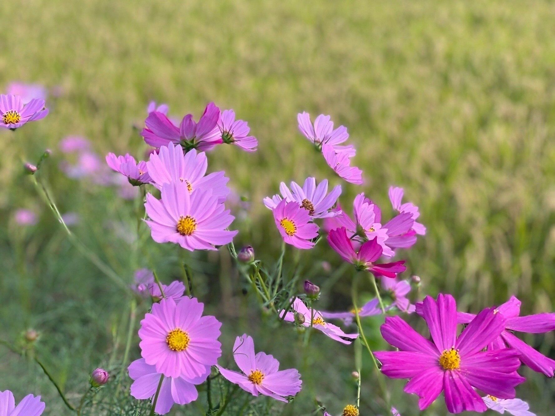 3．非日常が日常になる
