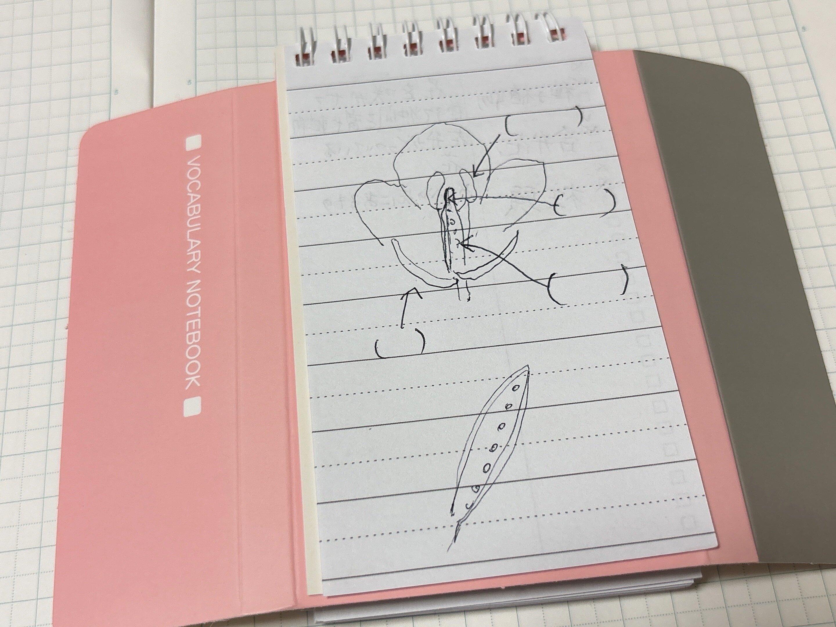 セリア暗記帳手帳タイプ