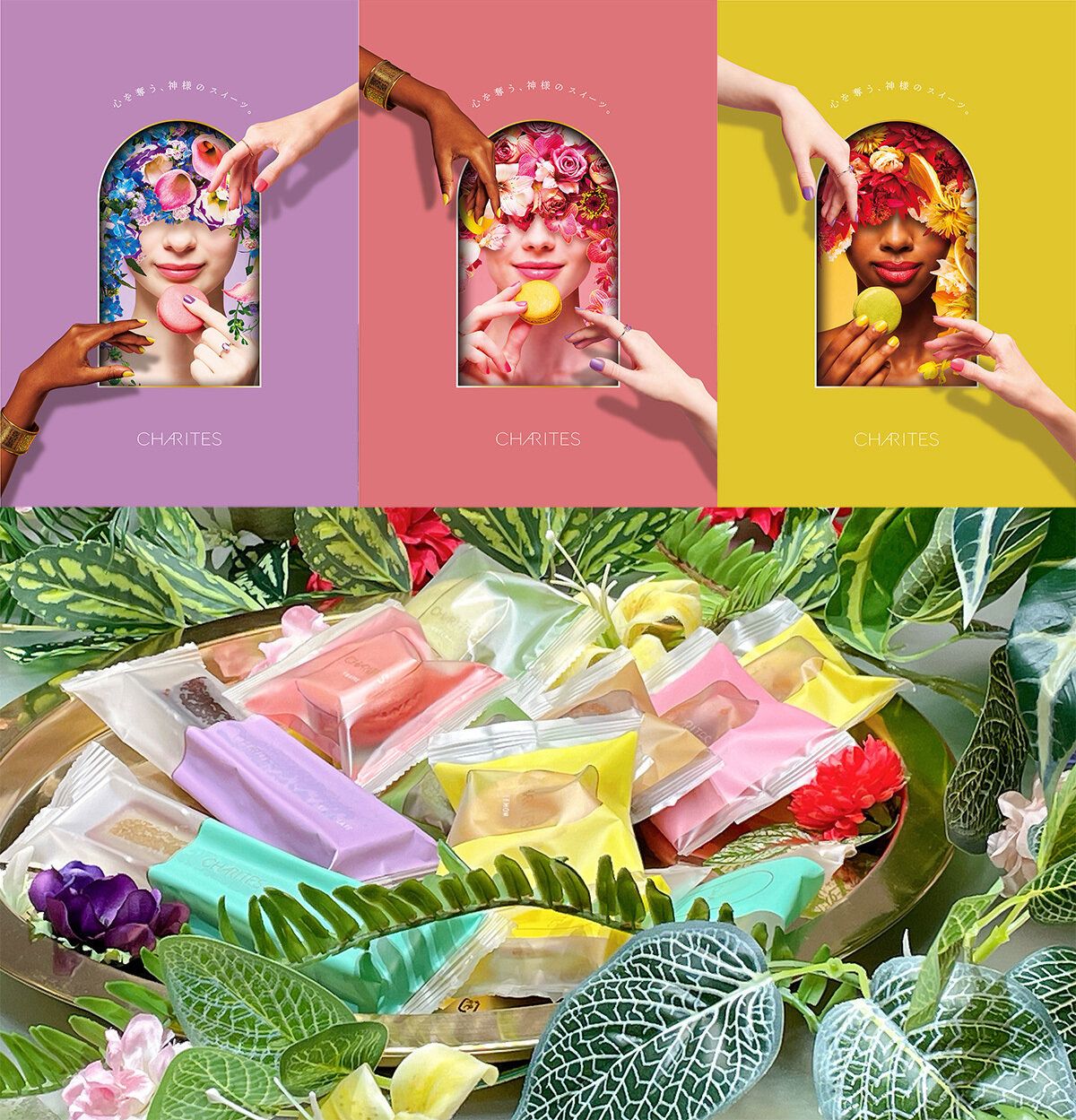 CHARITES(カリテス)