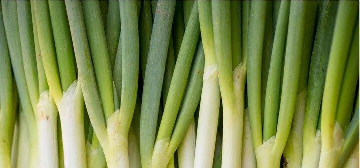 ネギの画像