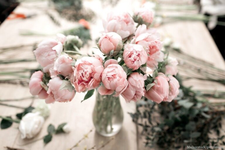 本をボロボロになるまで読んでいるのに物が捨てられない！山本ゆりさんに対するひでこ先生の断捨離アンサーは？