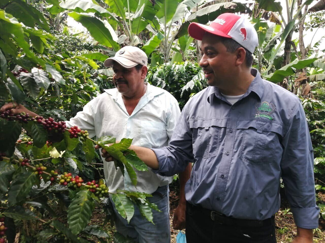 SACACLIのプロデューサーとコーヒー