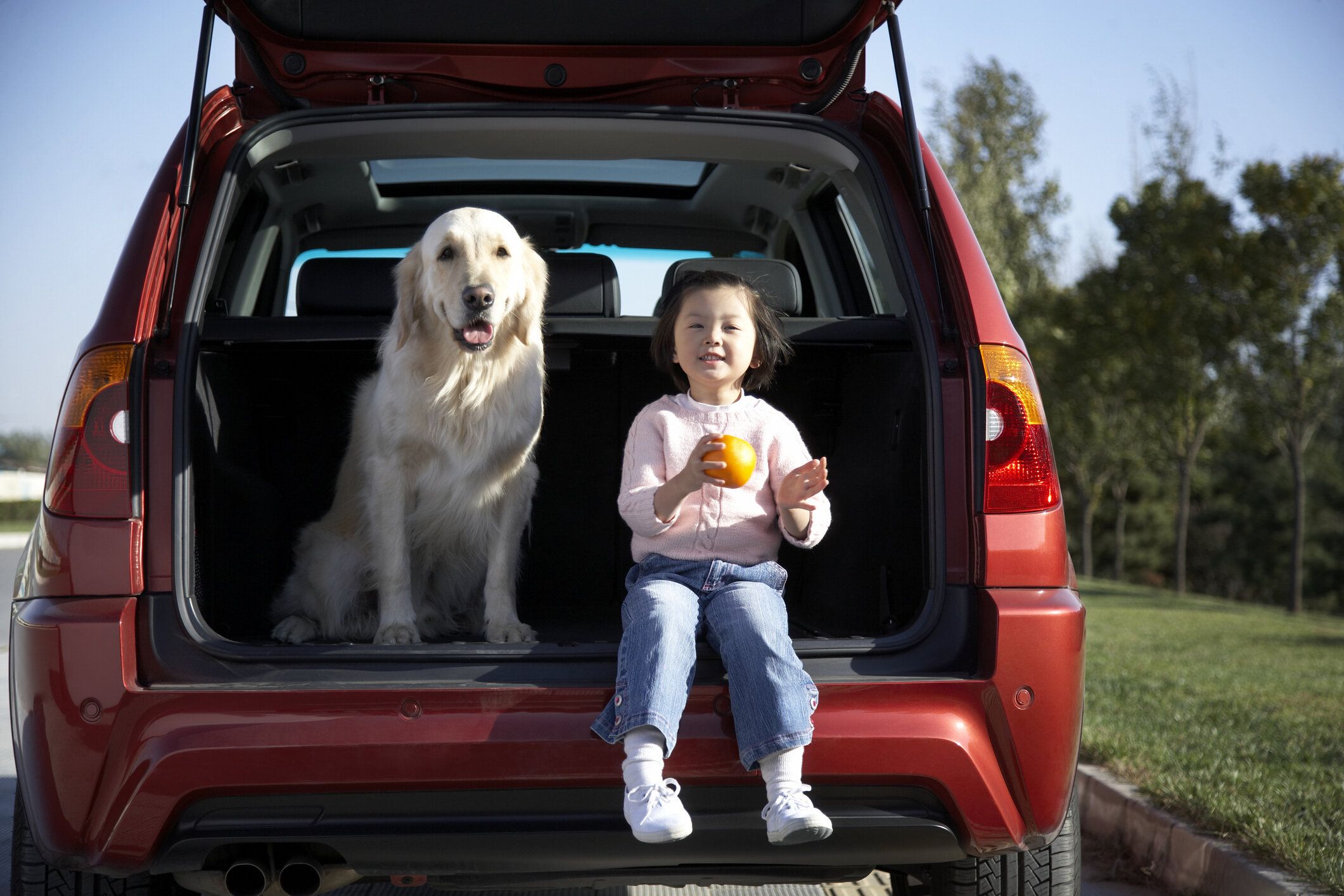 車のトランクに座っている犬と子供