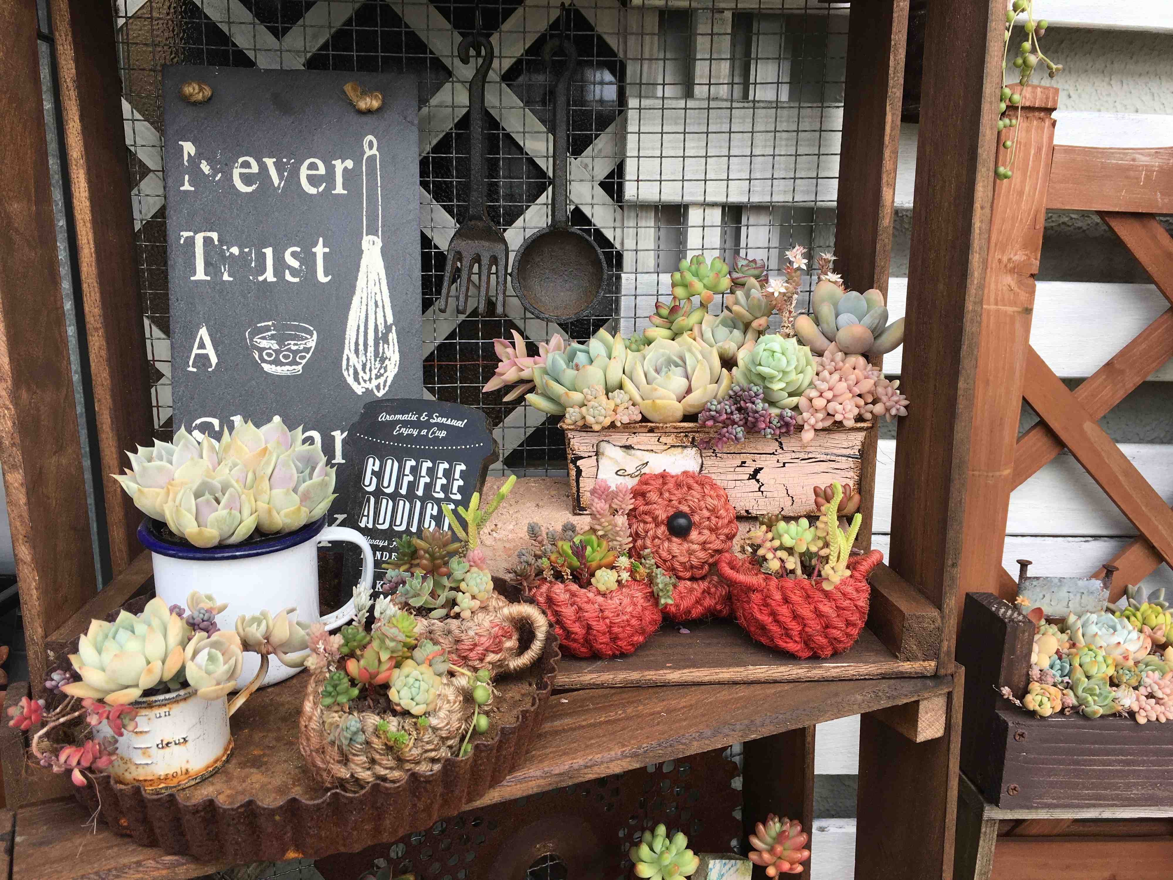 狭くてもできる！団地&賃貸のベランダで楽しむ多肉植物ガーデニングアイデア