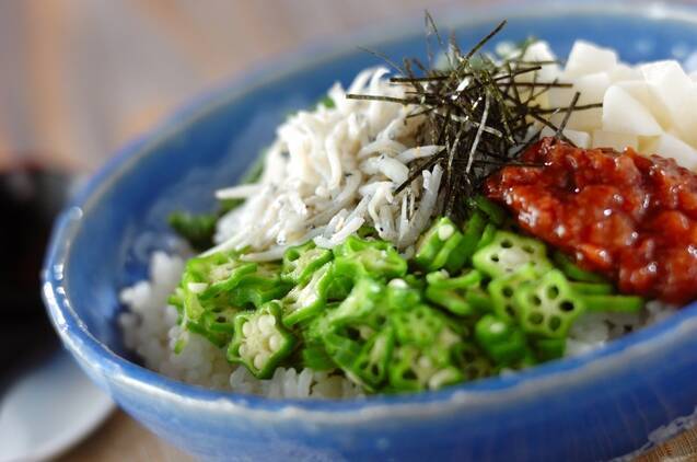 シラスとオクラのねばねば丼