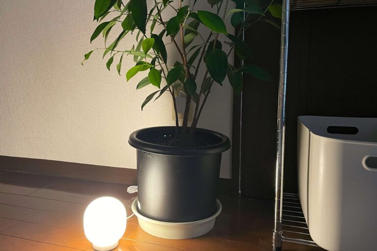 ささやかなリフレッシュで機嫌よく！子育てママの夜ルーティン