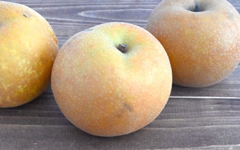 【旬食材】食べすぎないで！「なし」は1日1個までだよ！ライフハック4選♪正しい保存方法でおいしく食べよう