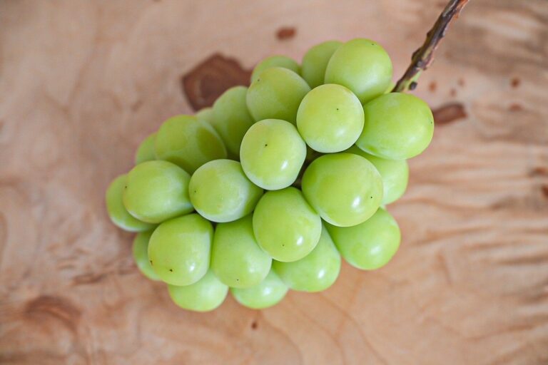 【旬食材】マスカットってどっちから食べるか知っている？＆SNSで話題沸騰中！サワーパッチグレープの作り方