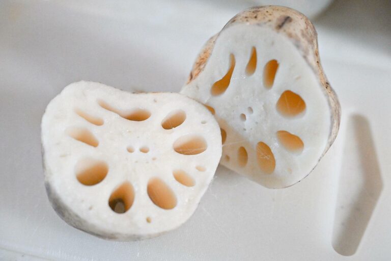 【旬食材】れんこんは状態によって保存方法が違うから注意して！＆副菜・主菜・主食のおすすめれんこんレシピ3選