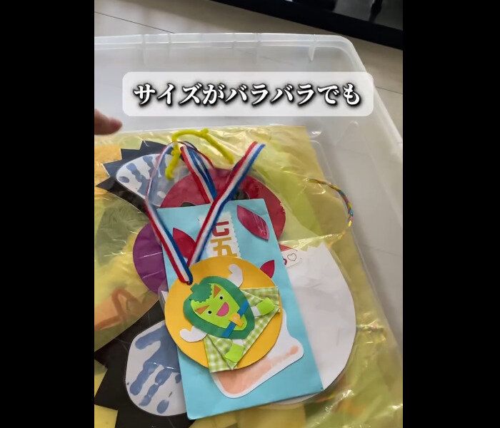 【ダイソー】買う価値アリ!ベッド下収納ケースワイド