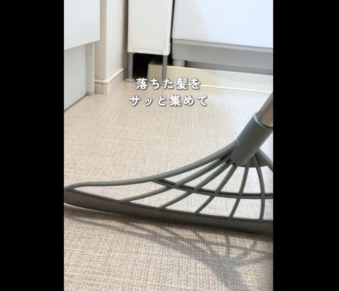【ダイソー】サッと集める!マルチ万能ほうき