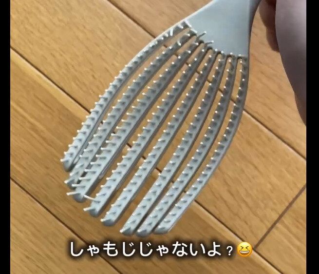 【3COINS】なんか面白い!フィットヘアブラシ