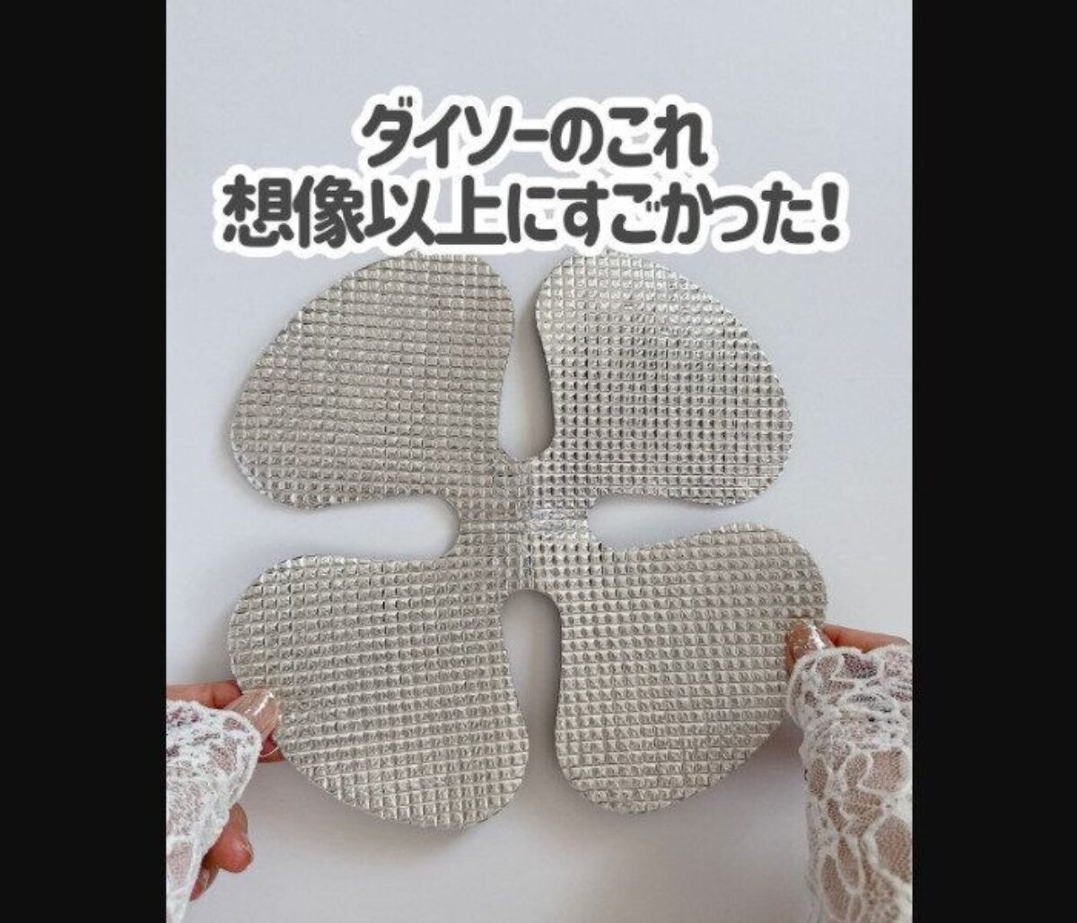 思わず2度見した【ダイソー】「想像以上にすごい」「110円はヤバい」激