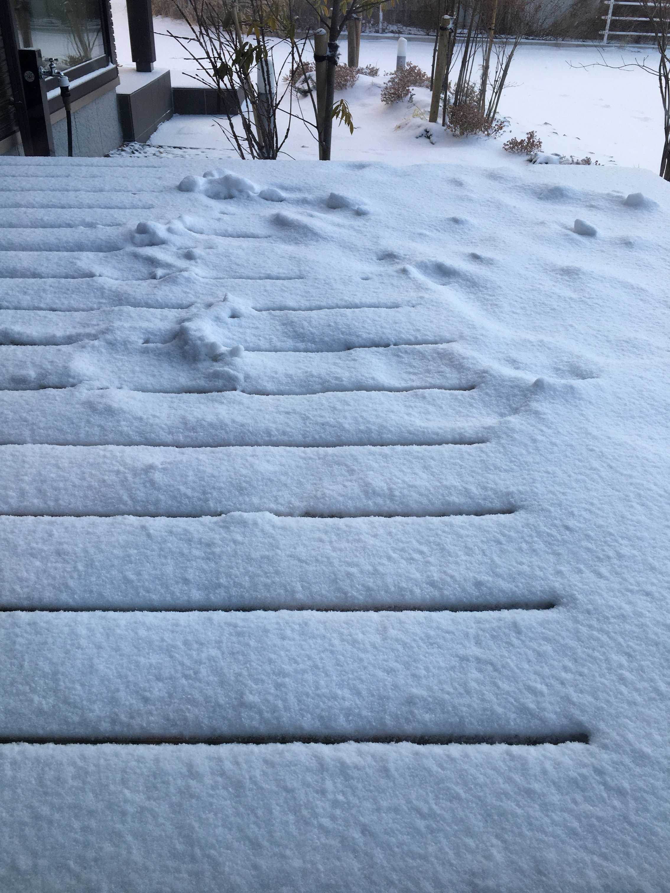 コスパ最強！丸ごと一本七変化大根料理