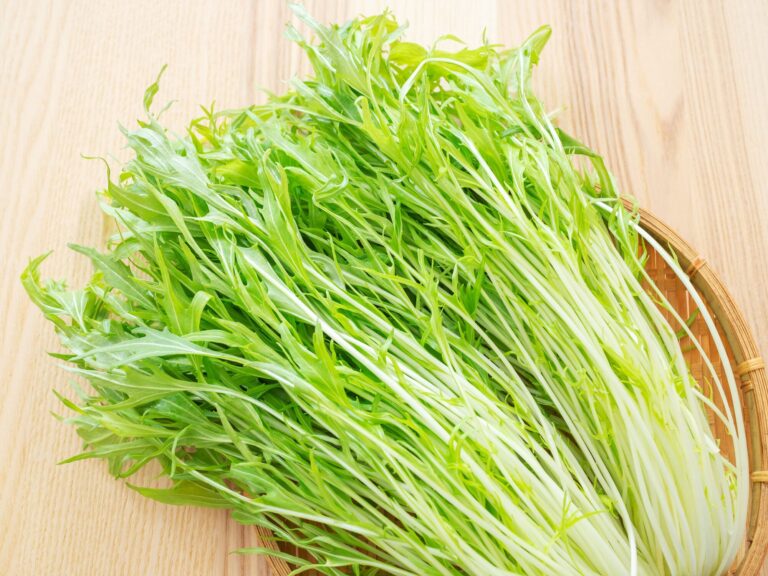 水菜は葉が溶ける前に即冷凍して！簡単な冷凍方法と活用のコツを野菜ソムリエが解説
