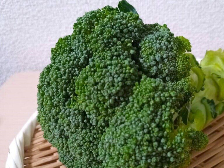 ブロッコリーを買うときに避けたい「色」とは？ブロッコリーを選ぶ方法を野菜ソムリエが解説