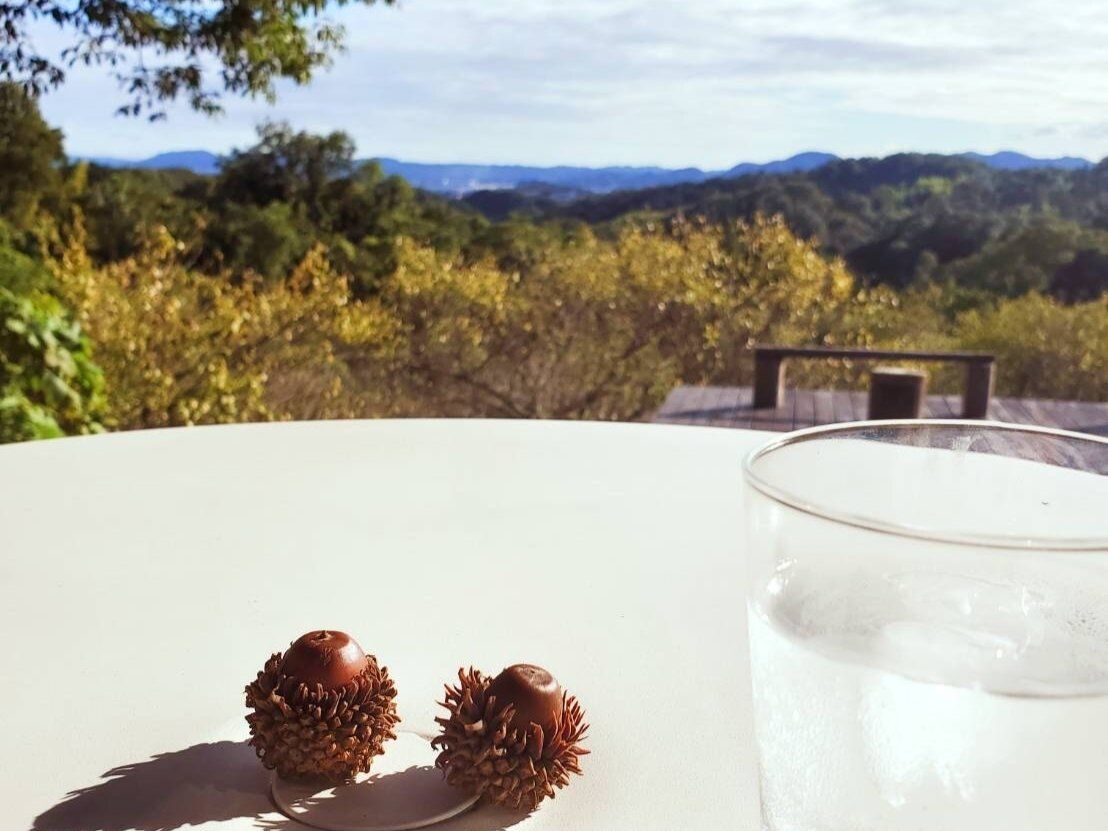 どんぐりと景色