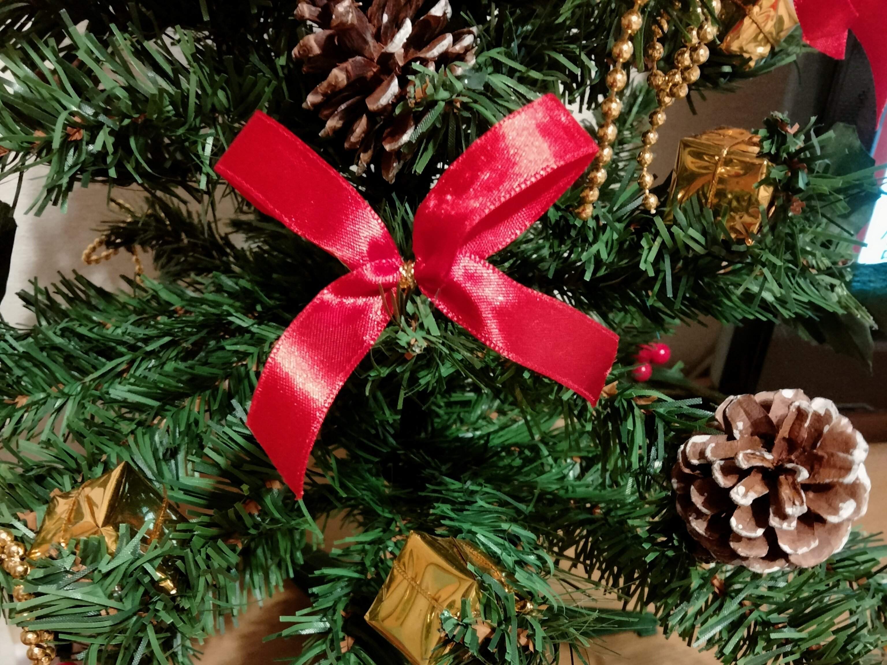 ちょうちょ結びのリボン