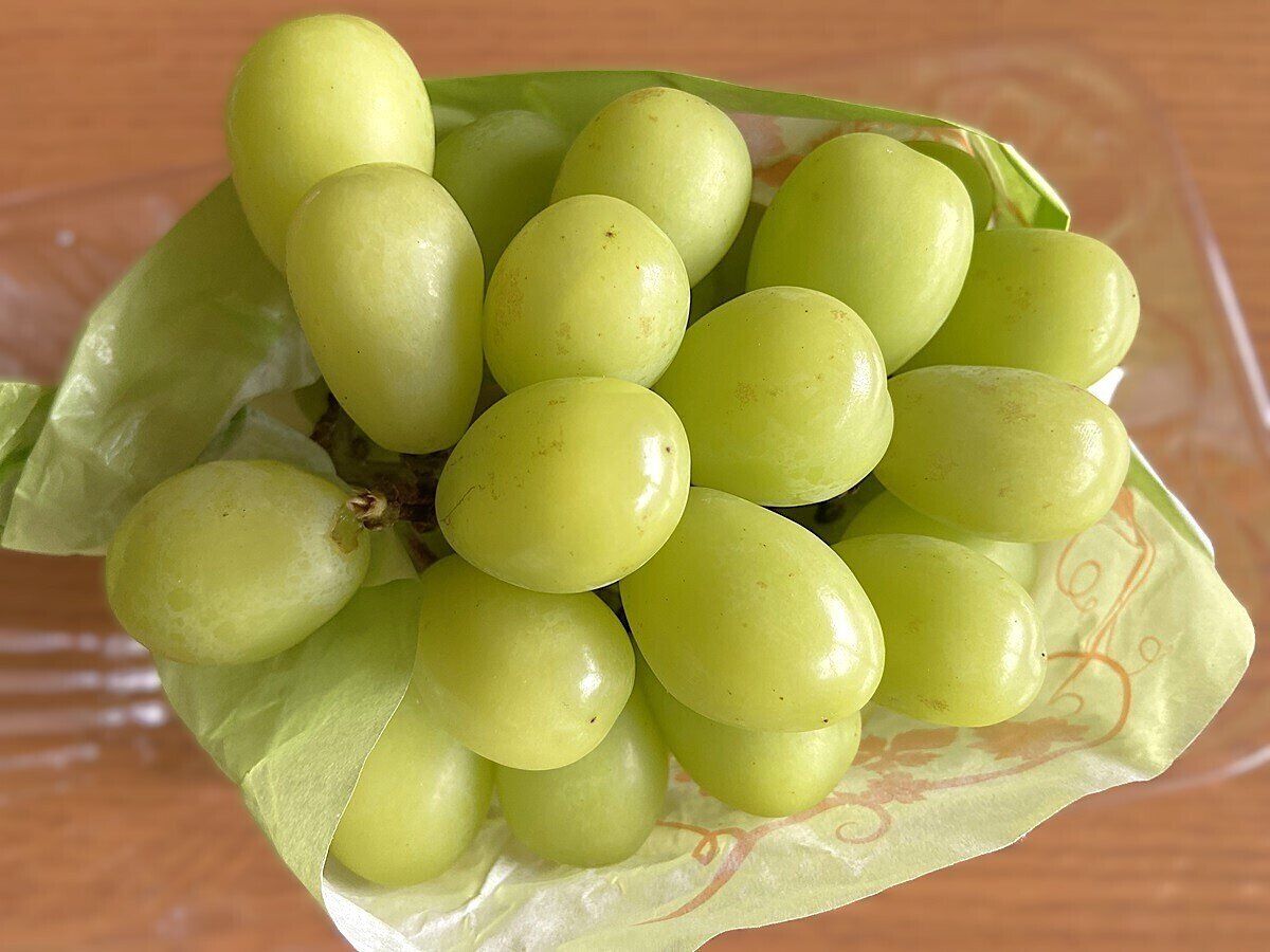 シャインマスカット