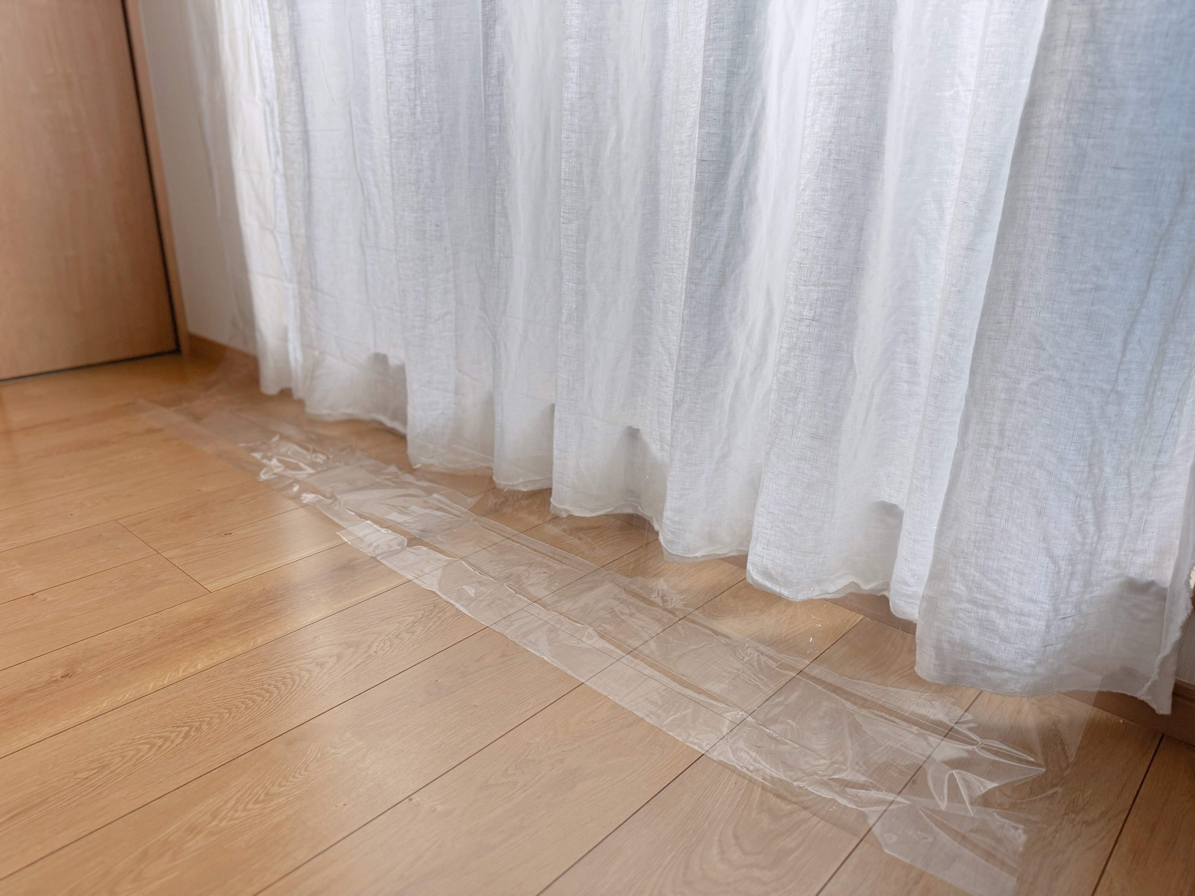 人気の理由とは?