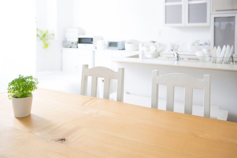 誰もいないはずの向かいの席からなにかが生えてきた?!食事中に見た愛猫の驚きの行動に4.7万件のいいね