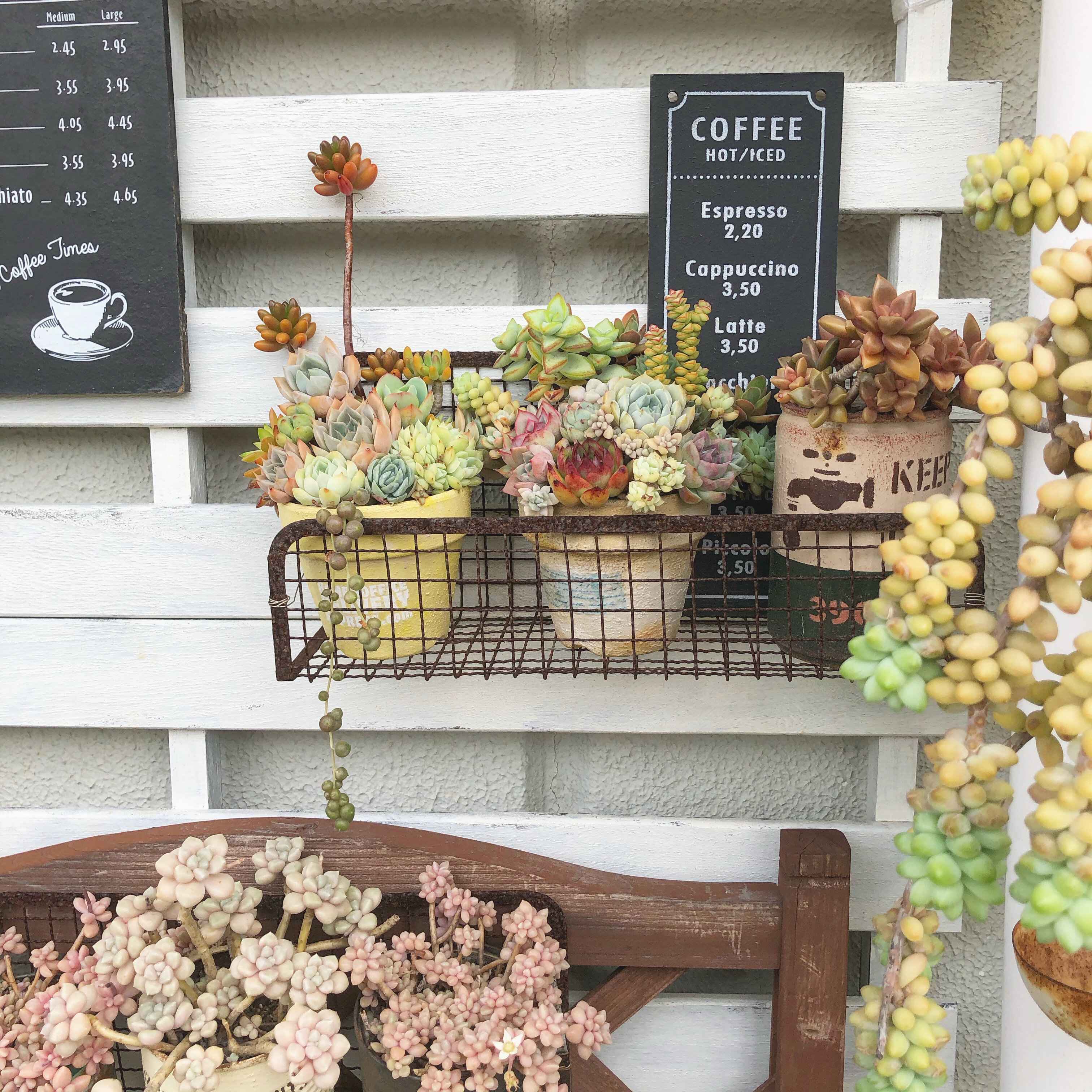 100円ショップのアイテムを活用する