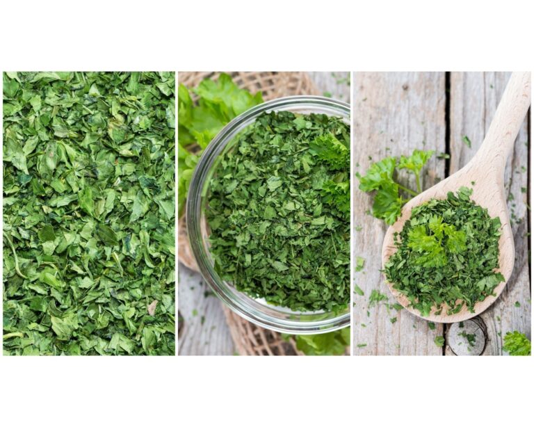 料理が映える！鮮やか乾燥パセリの作り方と使いこなし｜簡単電子レンジテク