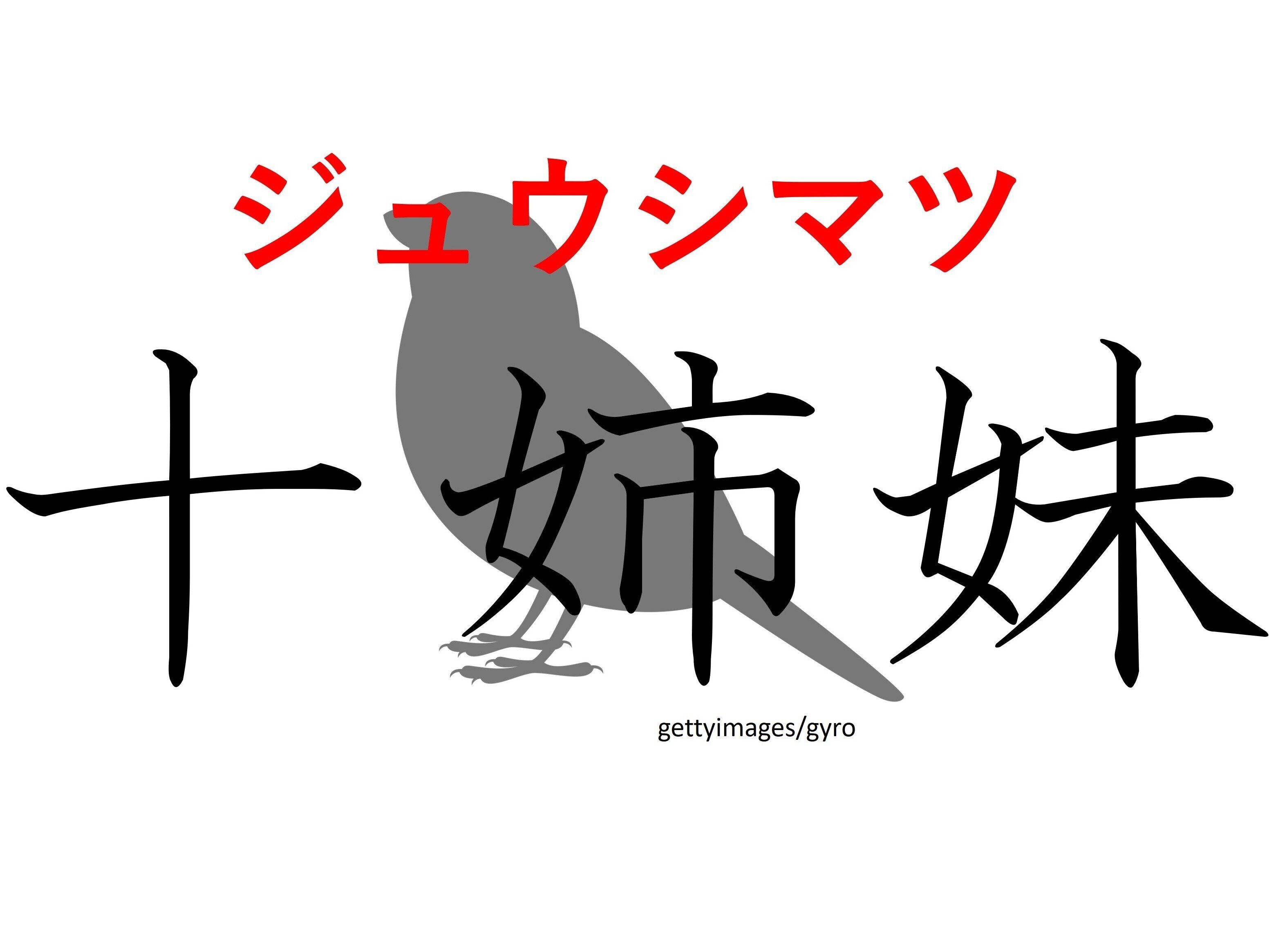 ひょっとして大家族なの？難読漢字「十姉妹」はなんて読む？