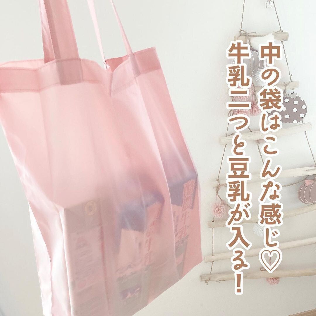 【ダイソー】エコバッグもたっぷり入るサイズ感