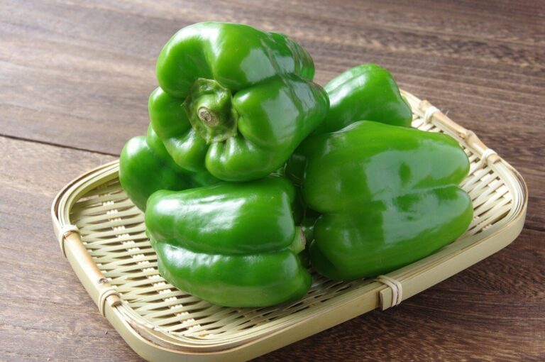 ピーマンの人気おすすめおかず・おつまみレシピ120選！簡単に大量消費できる料理を紹介