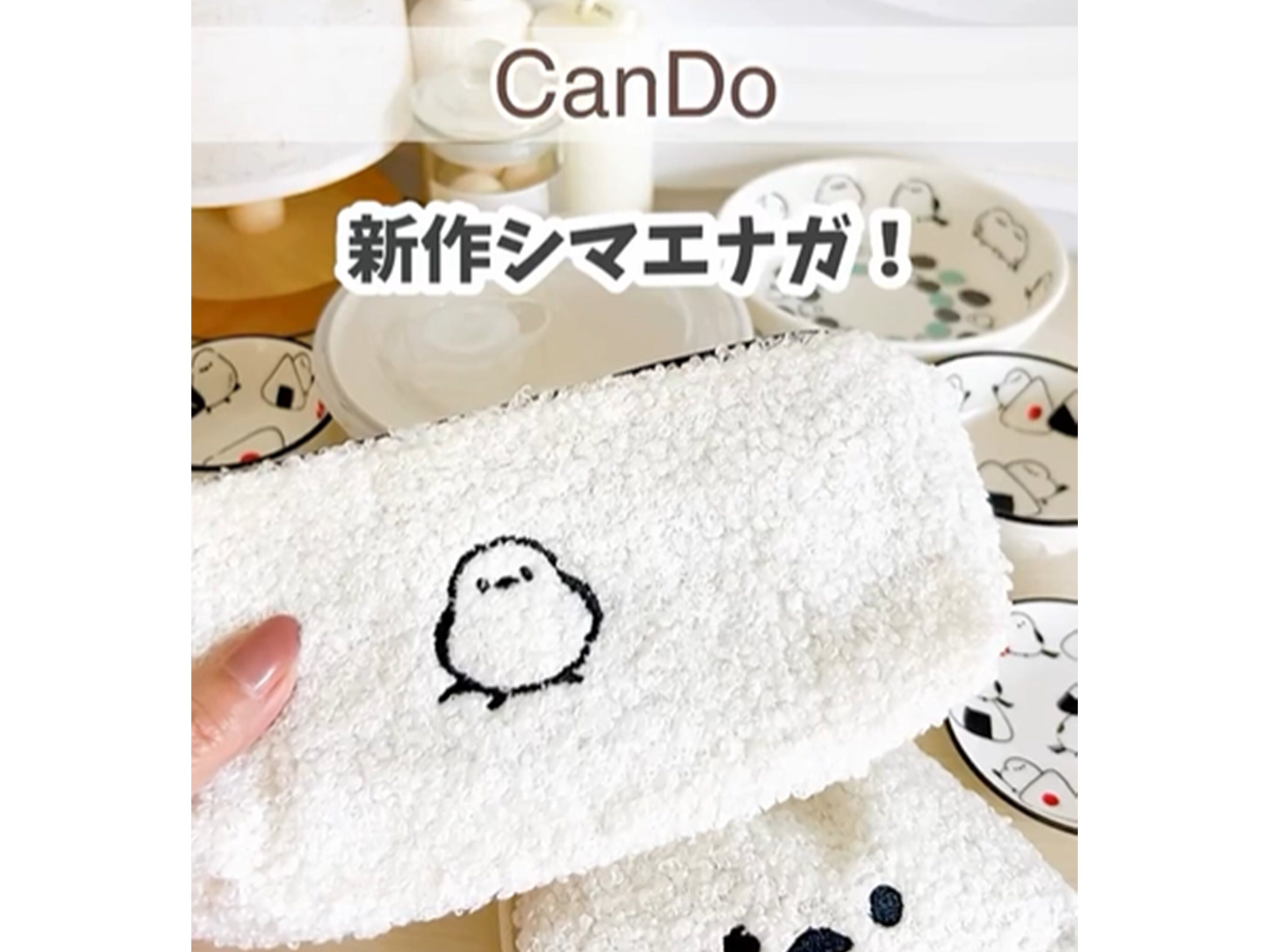 新作！【キャンドゥ】「シマエナガもこもこペンケース」のご紹介