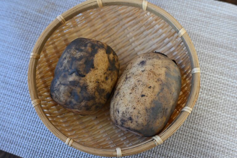 れんこんの皮はむくべき？八百屋歴10年の野菜のプロの見解は