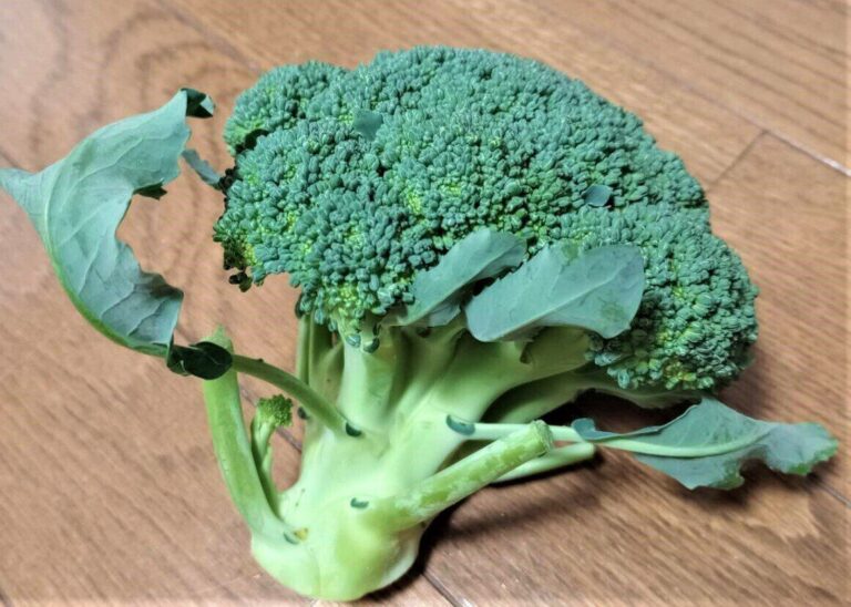 やらなきゃもったいない！蒸しブロッコリーがひと工夫でやみつきになるレシピを野菜ソムリエが紹介