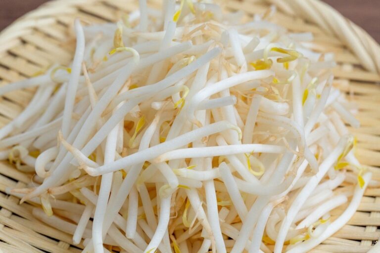 大量消費もOK「もやし」を使ったおすすめのおかず・おつまみレシピ42選！手軽で身近、家計も助かる