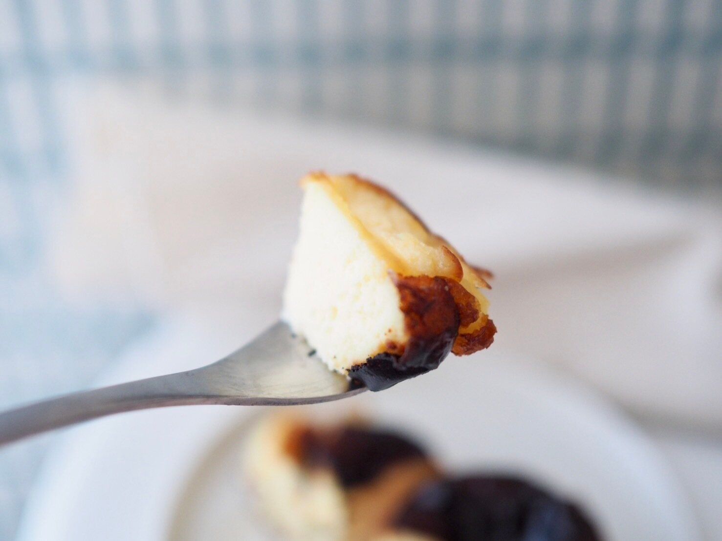 シャトレーゼ「半熟ガトーフロマージュ」フォークのせ写真