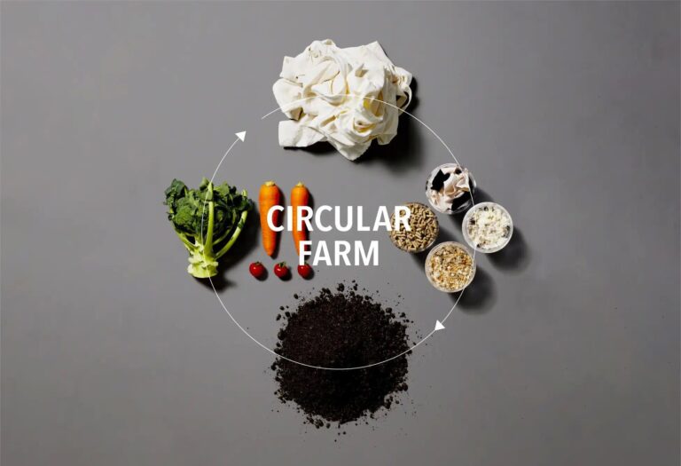 おトクに「おせち」を楽しむことがフードロス削減につながる！今週の気になるSDGsニュースをお届け！【39SDGs WeeklyNews】