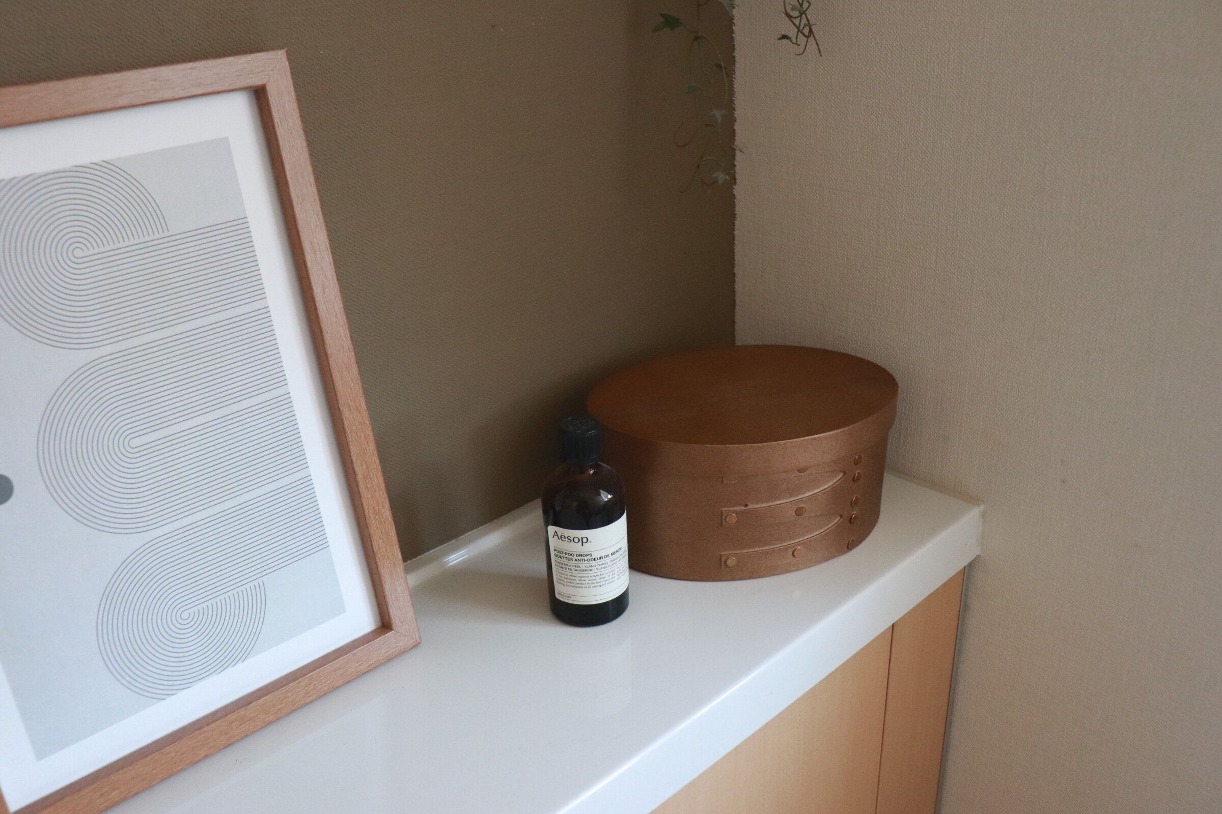 【3COINS】出しっぱなしでOK！収納にもディスプレイにもなるスリコの木製フタ付き収納ボックス