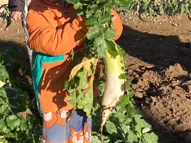 【旬の野菜】捨てないで！大根は葉も皮も栄養満点！節約＆エコにも◎！