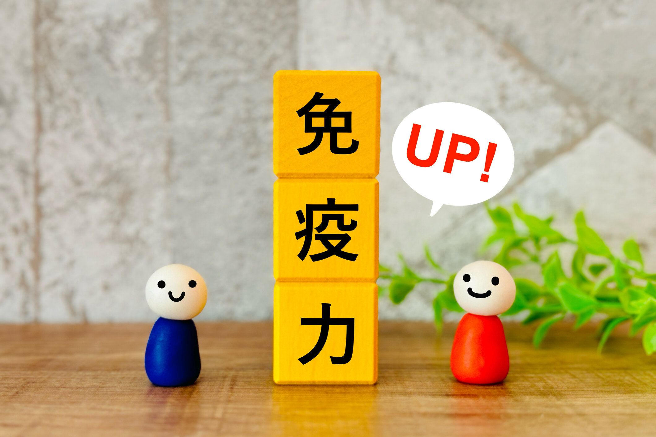 免疫力を高める