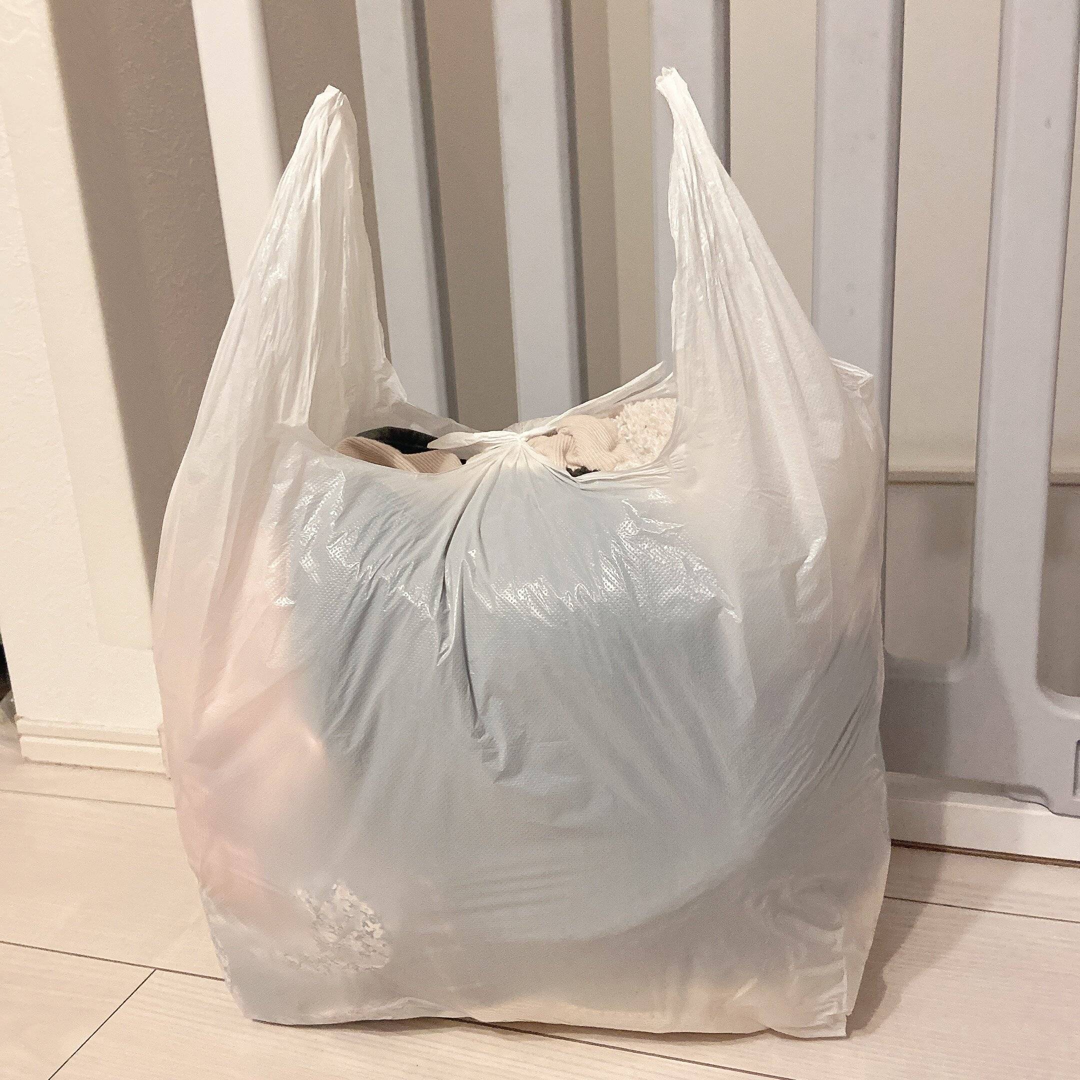 一日一袋分捨て