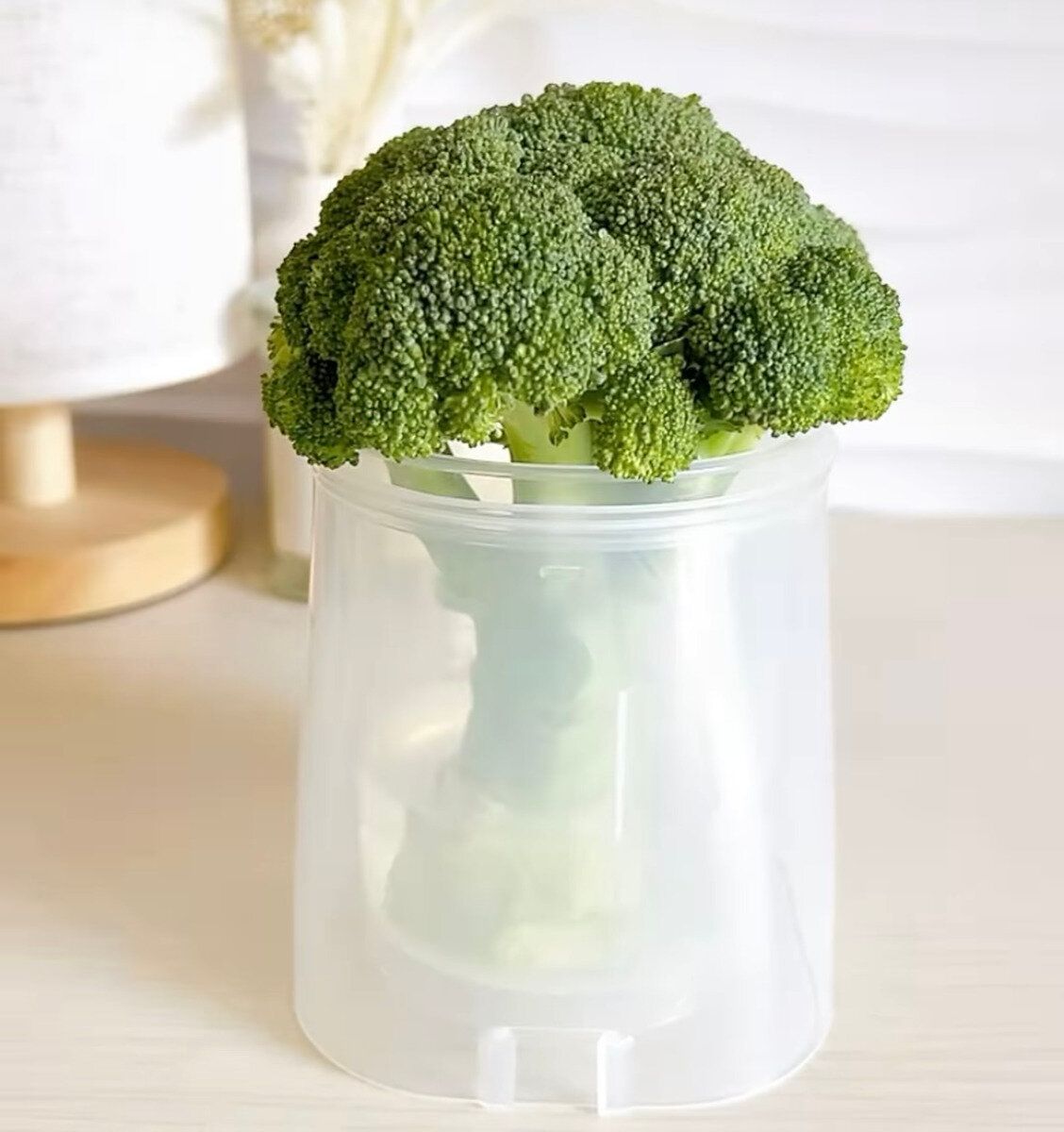 新鮮さをキープして野菜を保管!「野菜イキイキスタンド」