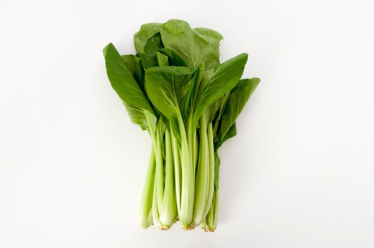 小松菜の驚くべき栄養成分～加熱による変化や効能を高める食べ方も伝授します～