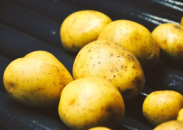 野菜のプロが解説！新じゃがをスーパーで買うときにおいしいものを見分けるコツとは？