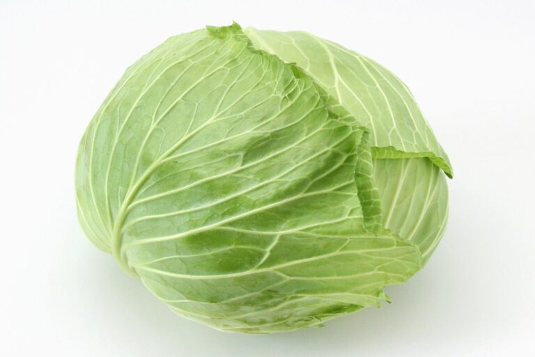 大量消費にも困らない！「キャベツ」を使ったおすすめのおかず・おつまみレシピ148選