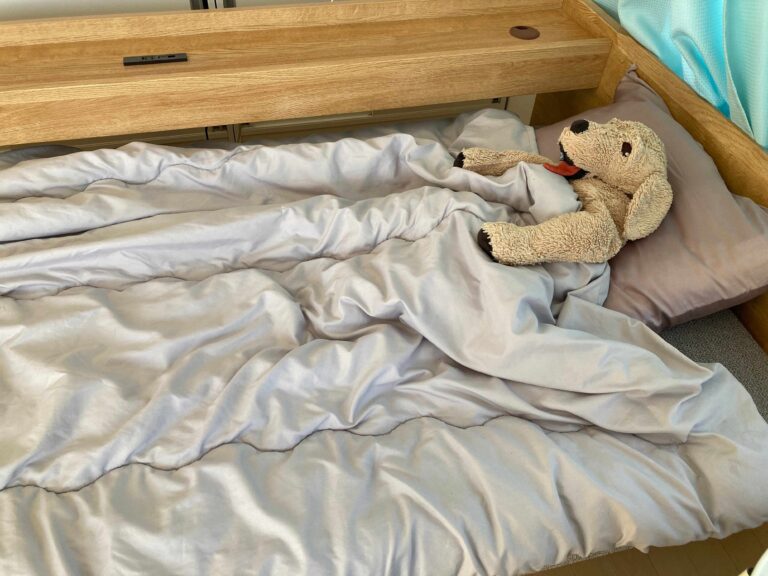 【布団】手放したらラクになった！ズボラ激推し！暖かさ◎の「シンサレート掛け布団」とは