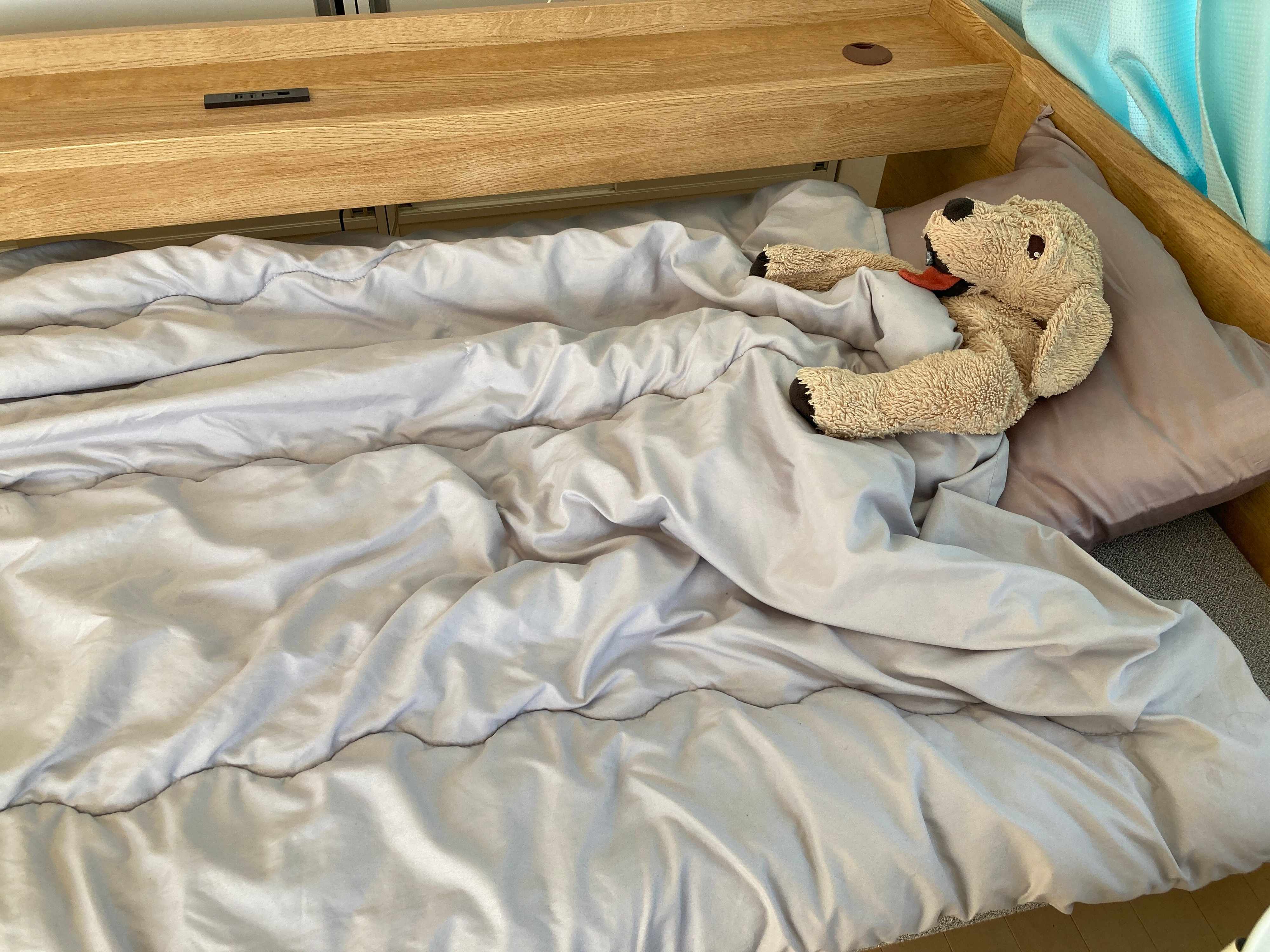 布団に入っている犬のぬいぐるみ