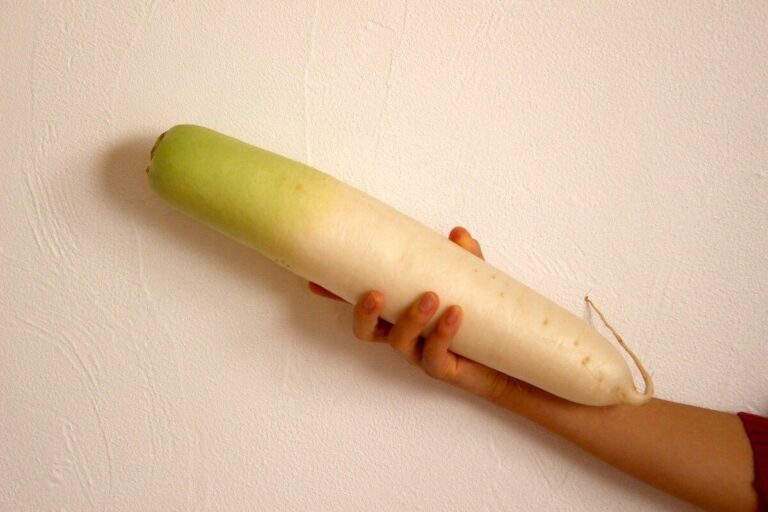 ご飯がすすむ！「大根の簡単おかず3選」大量消費に最適！