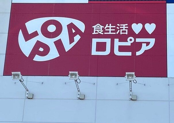 家族が大喜び！【ロピア】時短でできる「ガーリックステーキチャーハン」がパンチのある旨さ