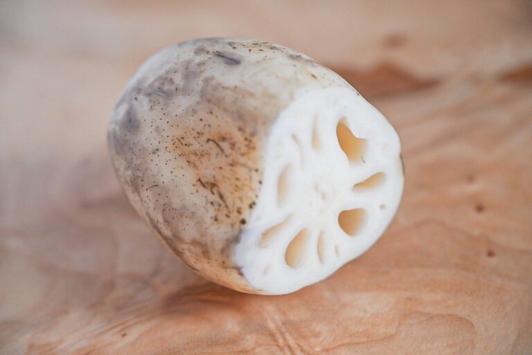 【旬食材】れんこんは皮まで食べられるよ！＆メイン食材れんこんだけの簡単レシピ3選