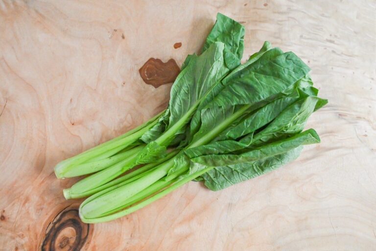 【旬食材】小松菜は立てて保存してね！冷凍保存もできるよ＆小松菜ひと袋使い切りレシピ2選